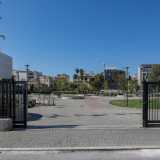 A servizio del popoloso quartiere Libert� � stata creata nel giugno 2023 un�area cani all�interno del neonato Parco Maugeri